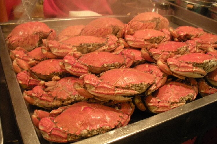 Cangrejo gigante de río (大闸蟹)