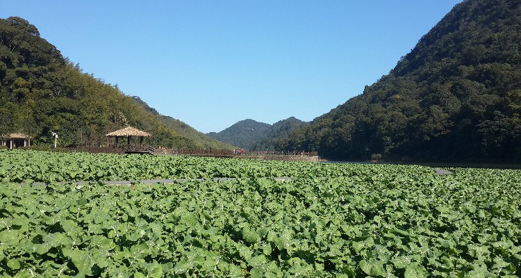 Shimen National Forest Park is best for hikes in fall.