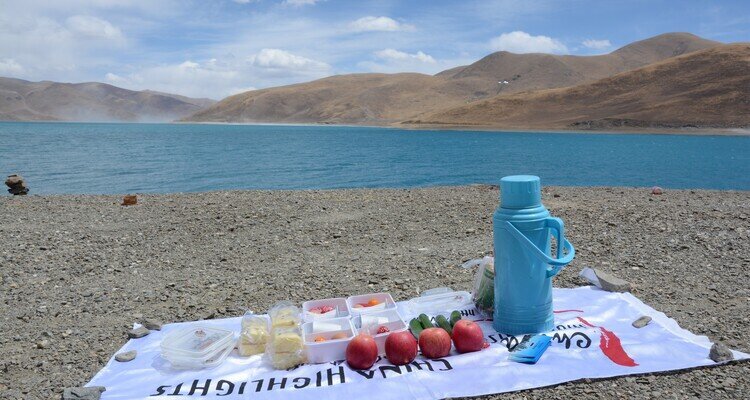 Picnic at Yamdrok