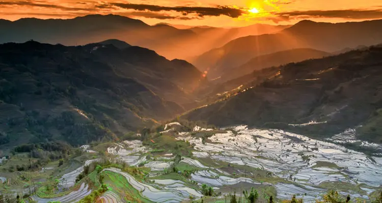 Yuanyang Terraced Fields