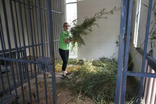 都江堰パンダ基地