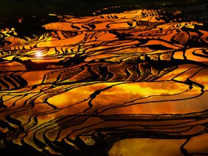Yuanyang Rice Terrace