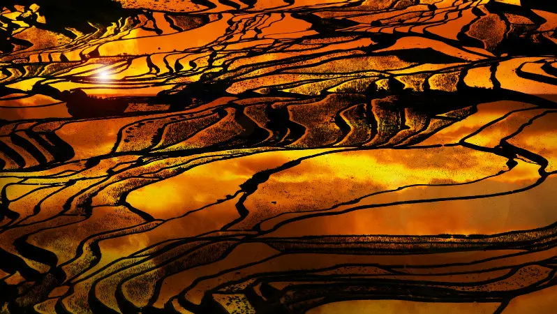 Yuanyang Terraced Fields
