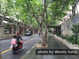 A tree-lined avenue at the French Concession