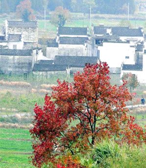 Le village de Tachuan