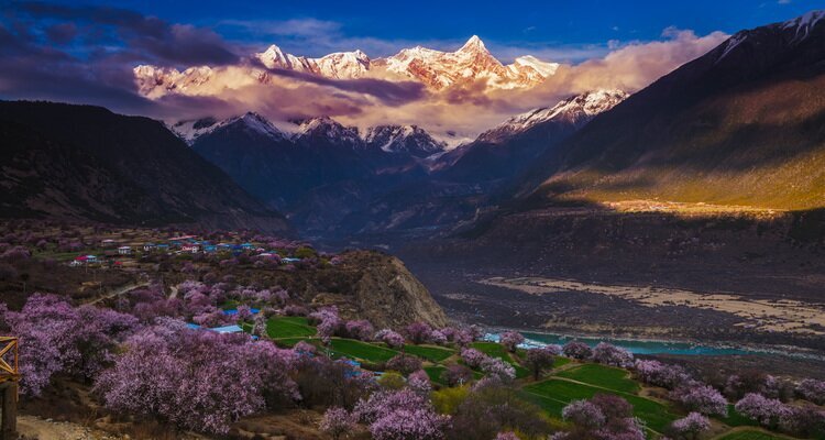 Peach blossoms and Mt. Namcha Barwa