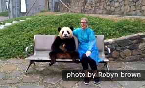 Visitors can hold a giant panda at Dujiangyan Base