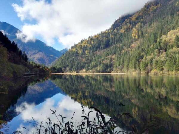 El otoño en Jiuzhaigou, cerca de Chengdu