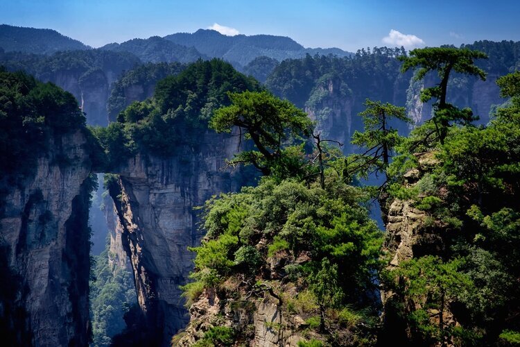 Le Parc forestier national de Zhangjiajie en été