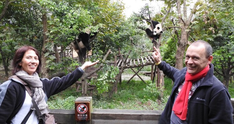 Panda Villa Area in Chengdu Panda Research Base