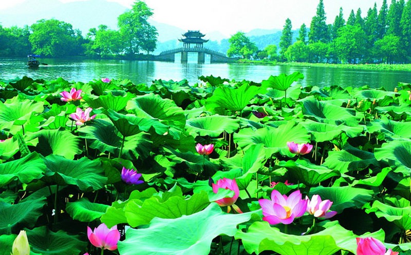 Things to Do with Kids in Hangzhou