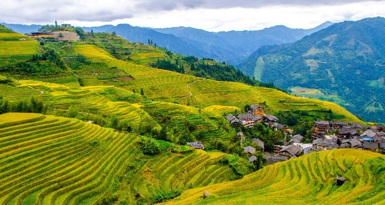 Reisterrassen von Longji in Guilin