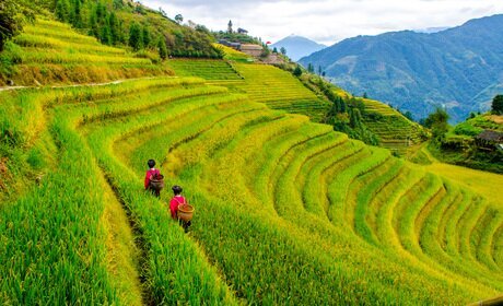 Rizières en terrasses et minorités ethniques de Longji