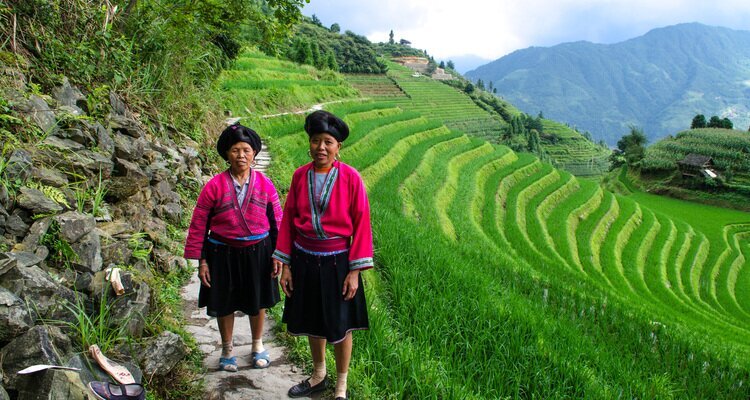 Yao Minority at Longsheng