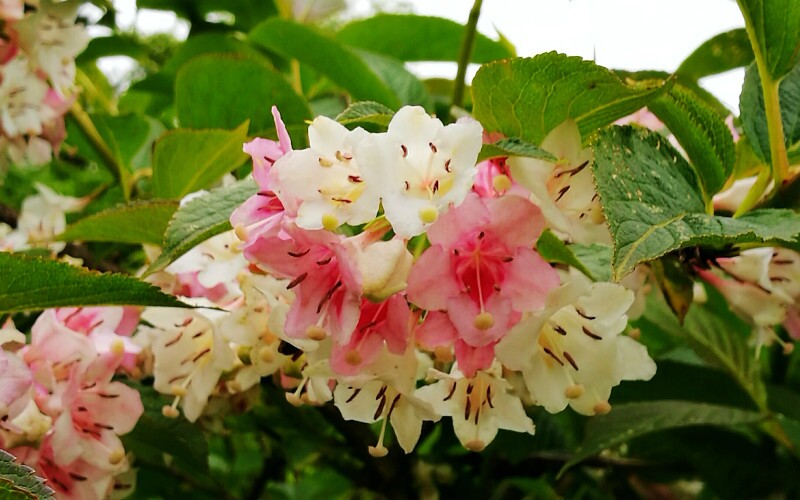 Ningbo Weather - Best Time to Visit Ningbo