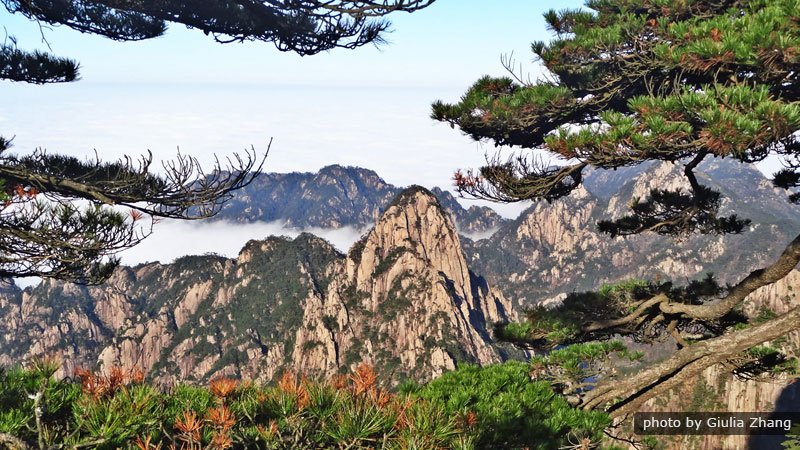 8 Дней тур Шанхай Сучжоу Ханчжоу, Хуаншань