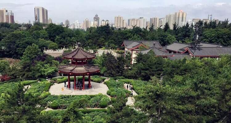 view from the top of Big Wild Goose Pagoda