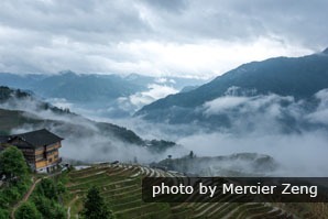 The Longji Terraced Fields