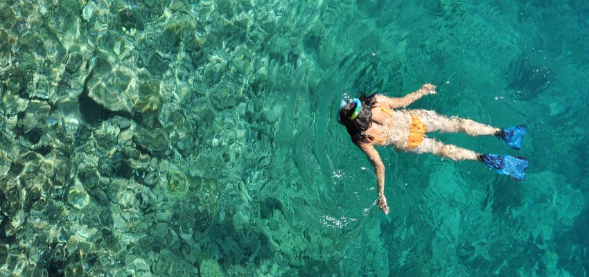 Meer