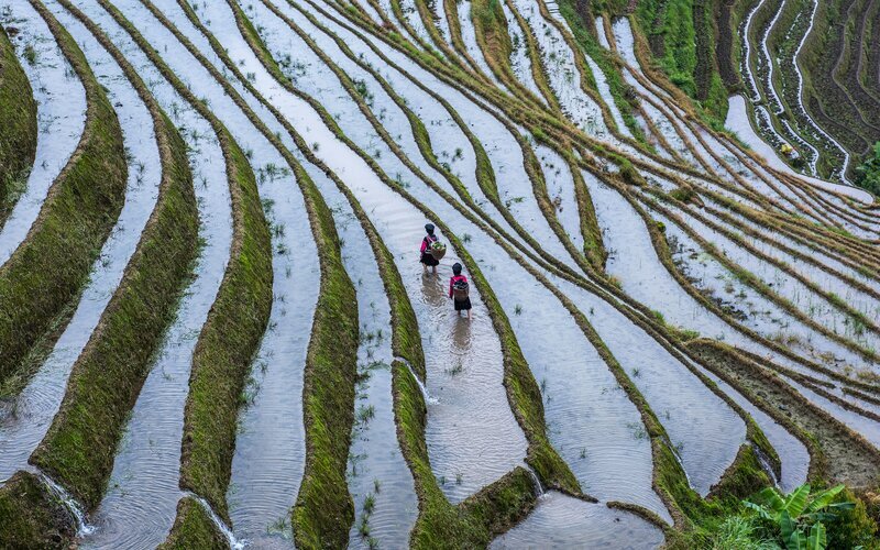 Marvel in the Longji Rice Terraces 