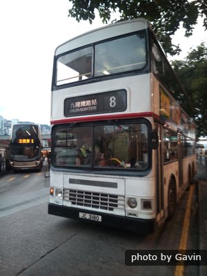 Hong Kong Bus 8