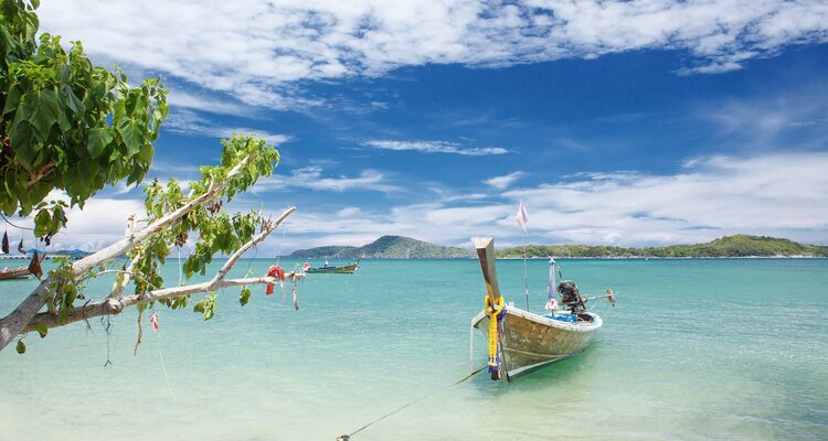 Viaje privado de con guía y chofer