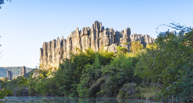 La Forêt des pierres noires de Naigu
