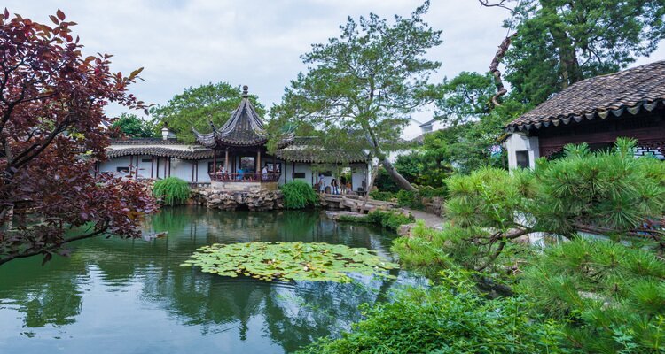 Master of the Nets Garden