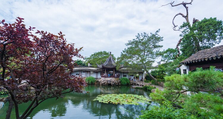 Master of Nets Garden
