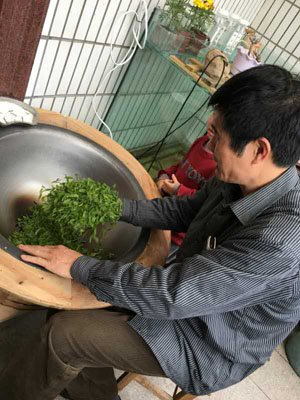 Drying Green Tea