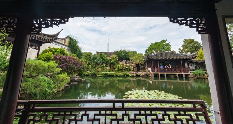 Master of Nets Garden