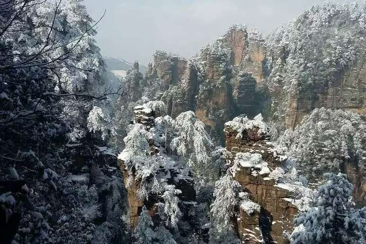 15 Días Naturaleza de China