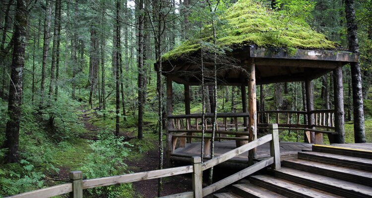 Forest walkway down the mounatin in Huanglong