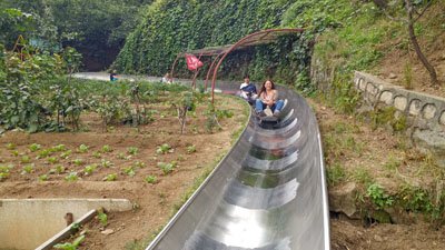 mutianyu Toboggan