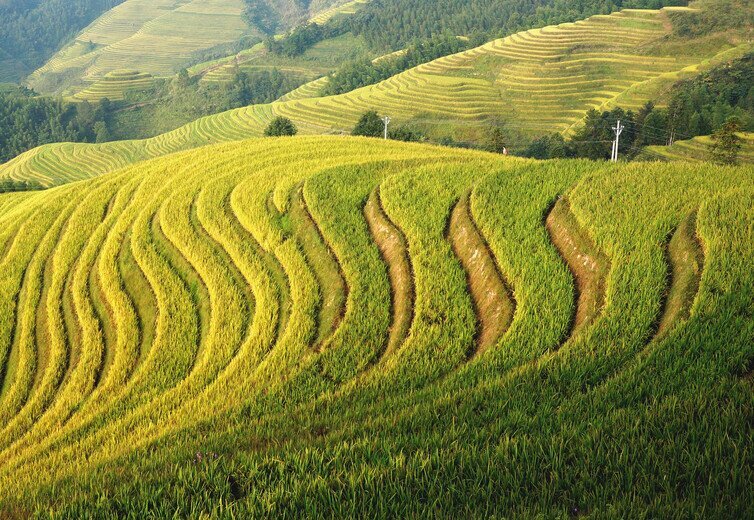 De septembre à début octobre - Mélange de vert et de jaune