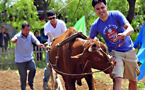 Cultivar hortalizas con gente local