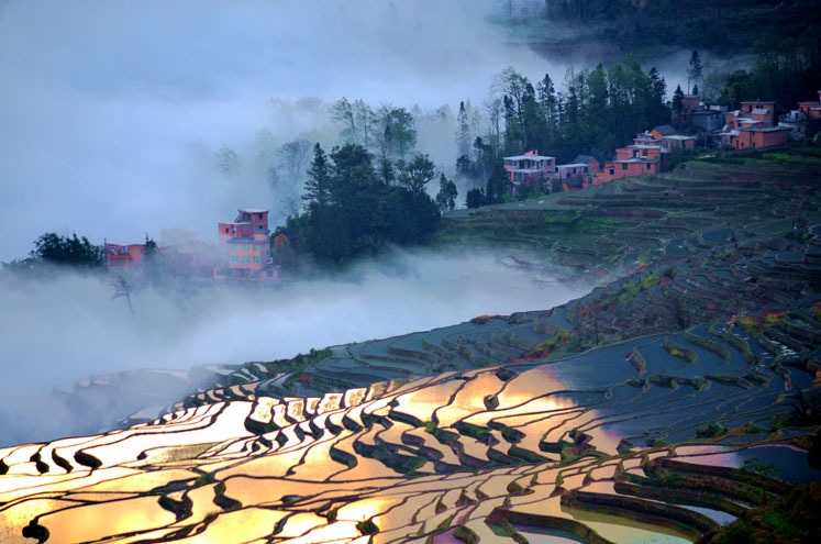 The Yuanyang Rice Terraces, Best Times to Visit