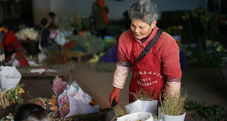 Trading at Dounan Flower Market