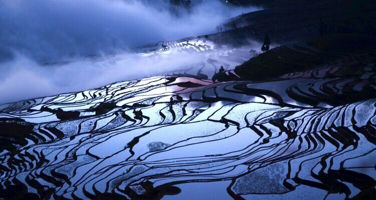 Yuanyang Rice Terraces in winter