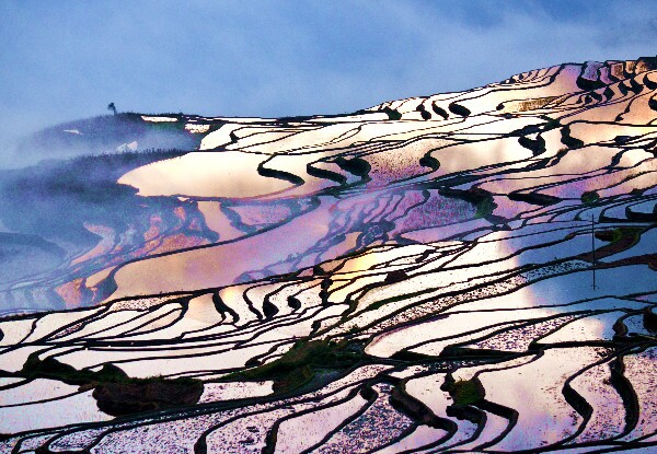 Yuanyang Terraced fields