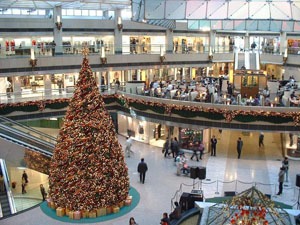 Enjoy Christmas in Hong Kong