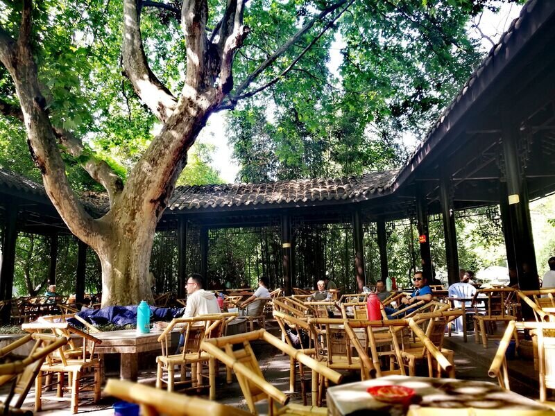 Bere il tè al Parco del Popolo