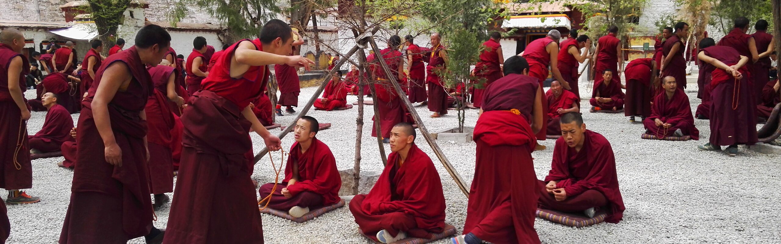 Sera Monastery: Witness the Lively Monk Debates