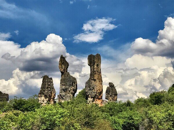 Bosque de Piedras