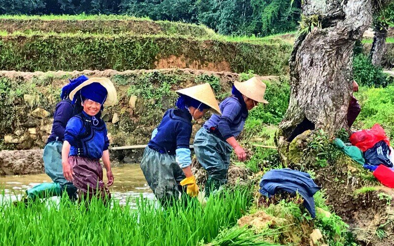 circuit chine 15 jours carte