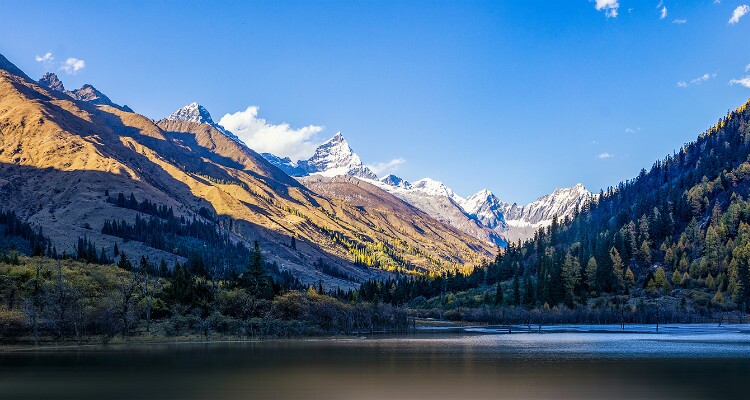 the valley with snow mountain and forest