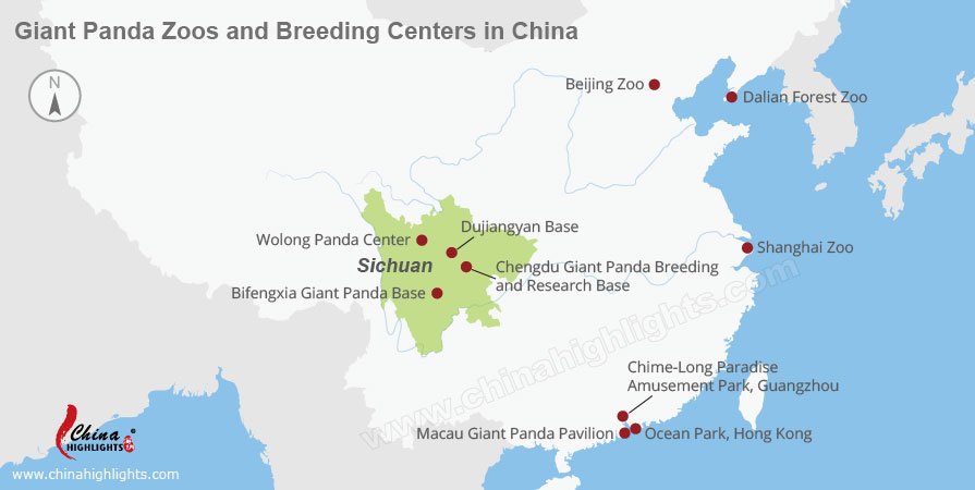 5 Top Places to See Giant Pandas in China