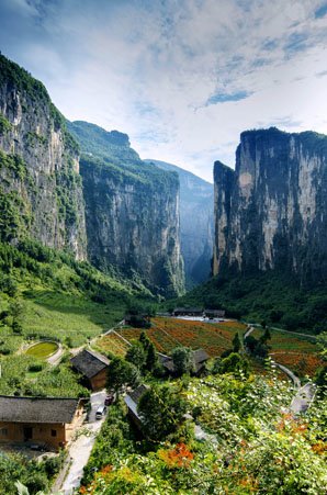Wulong