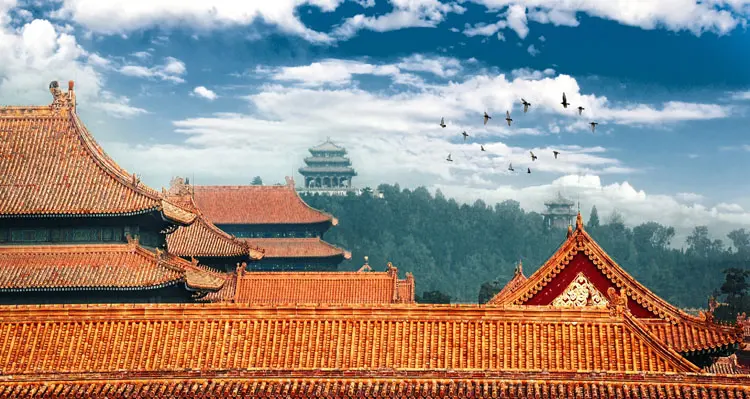 the yellow roof of the Forbidden City