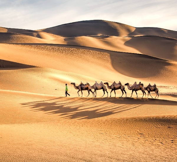 Silk Road Tours 2025; China & Central Asia Exploration